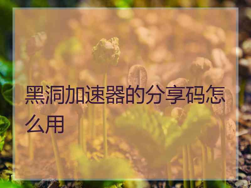 黑洞加速器的分享码怎么用