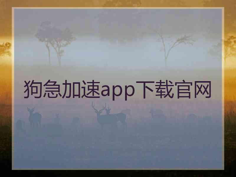 狗急加速app下载官网