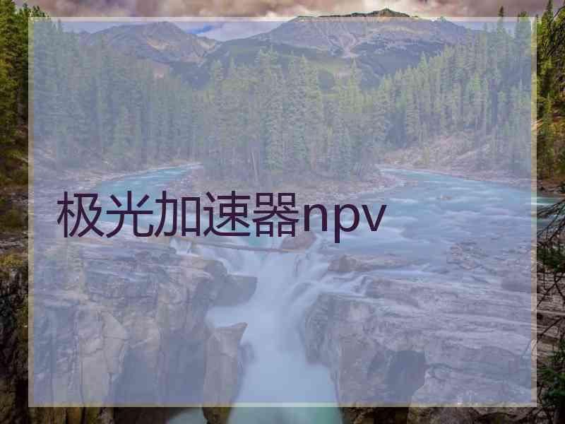 极光加速器npv