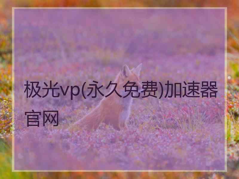 极光vp(永久免费)加速器官网