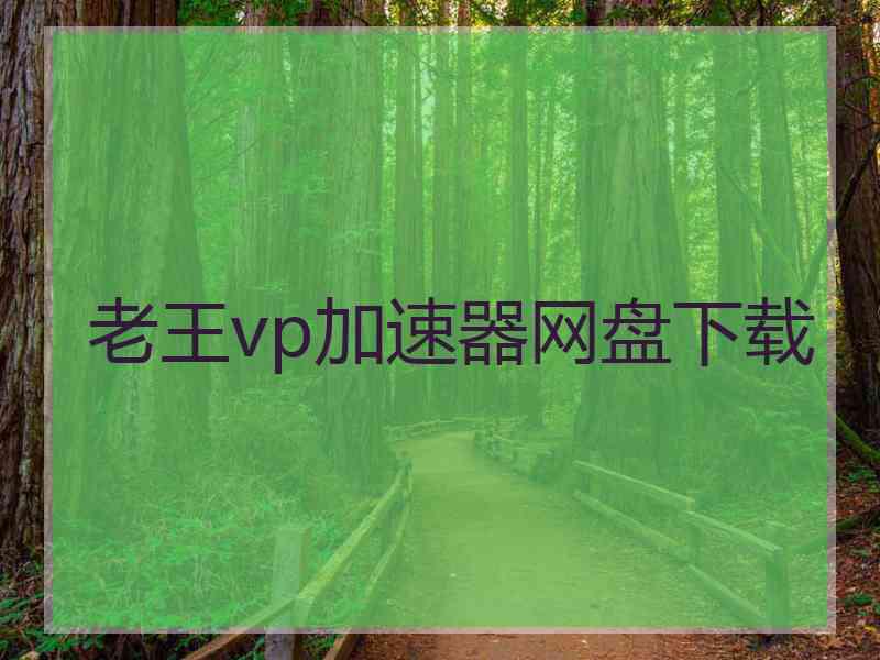 老王vp加速器网盘下载