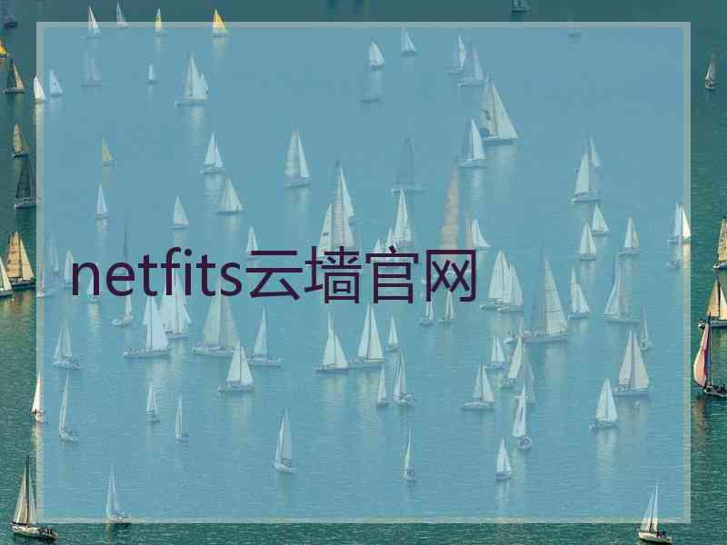 netfits云墙官网