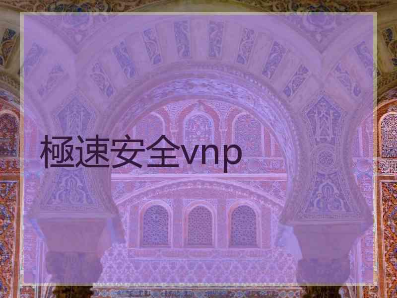 極速安全vnp