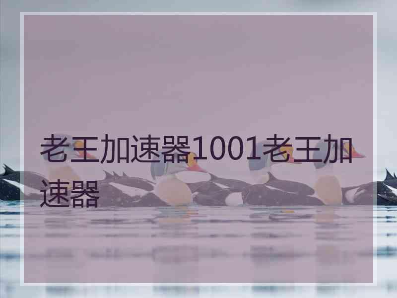 老王加速器1001老王加速器