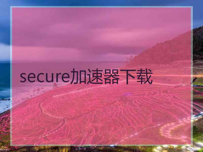 secure加速器下载