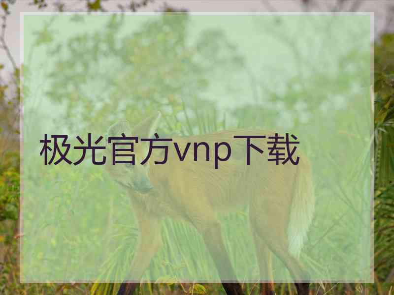 极光官方vnp下载