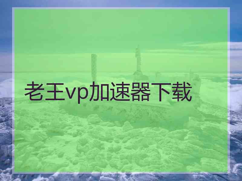 老王vp加速器下载