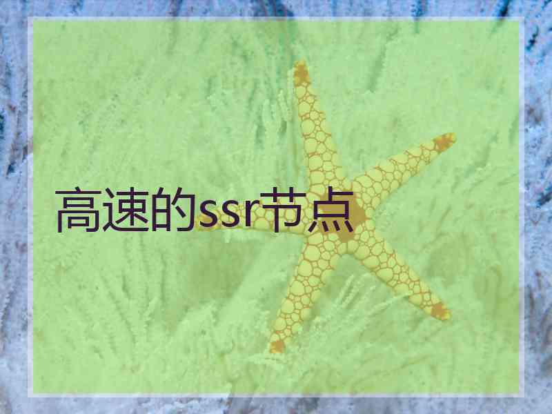 高速的ssr节点