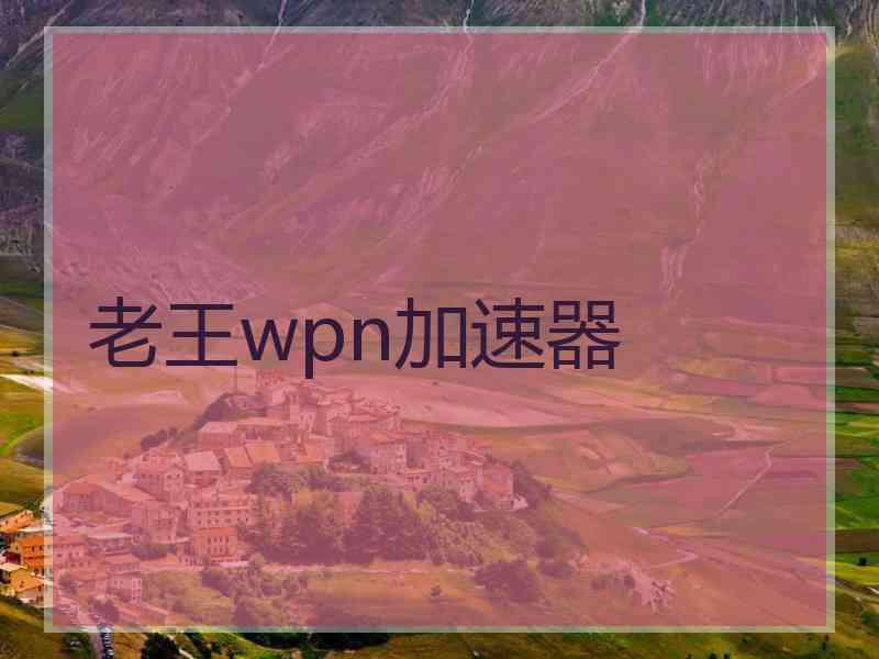 老王wpn加速器