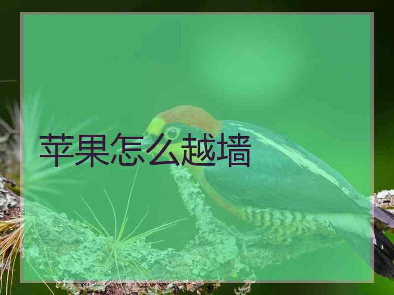 苹果怎么越墙