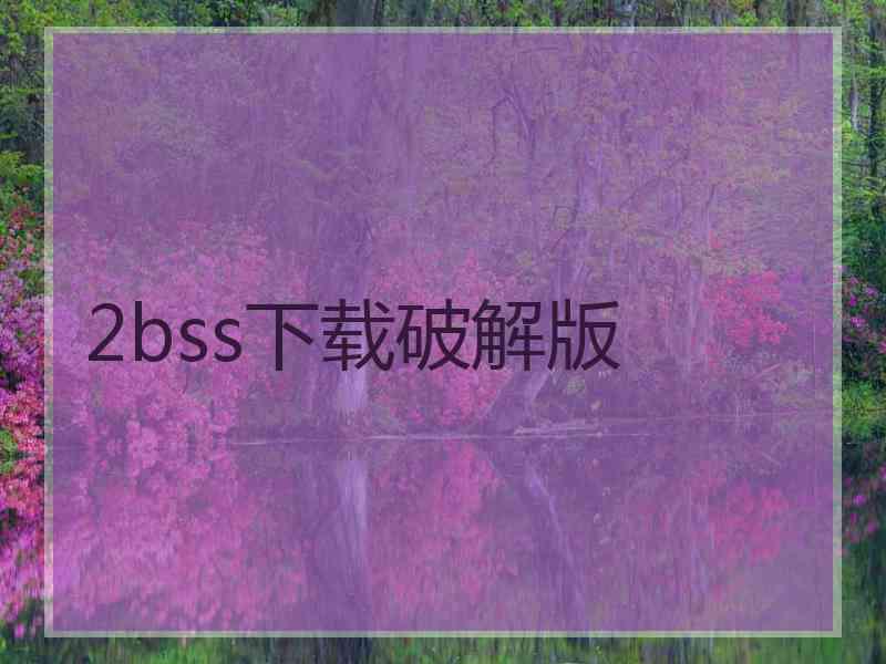 2bss下载破解版