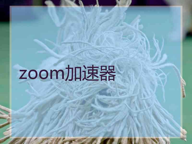 zoom加速器