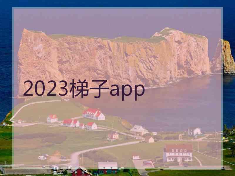 2023梯子app