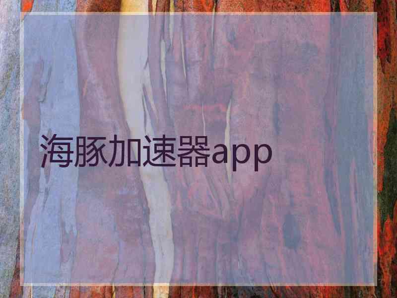 海豚加速器app