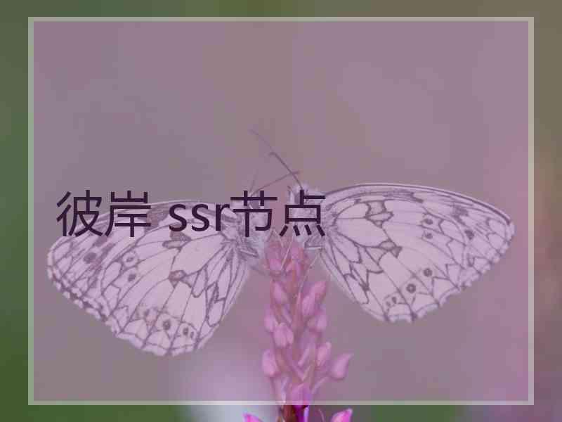 彼岸 ssr节点