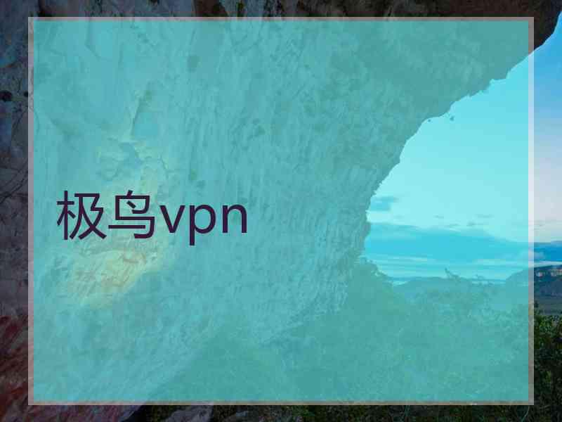 极鸟vpn