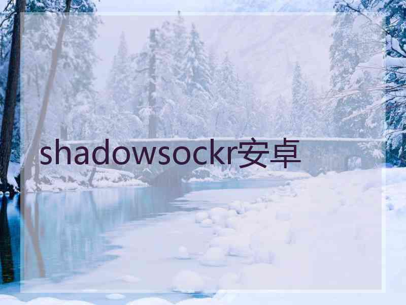 shadowsockr安卓