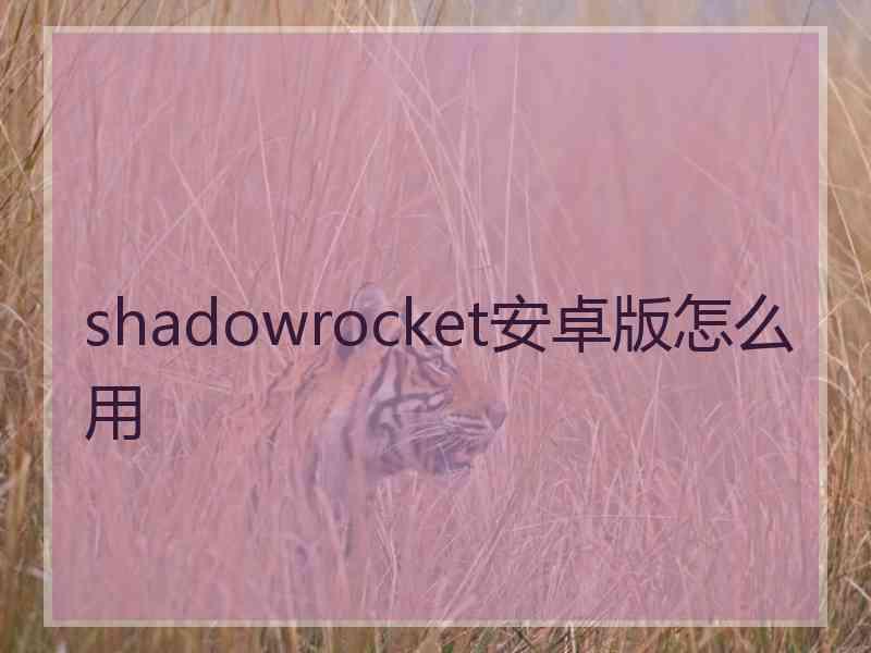 shadowrocket安卓版怎么用