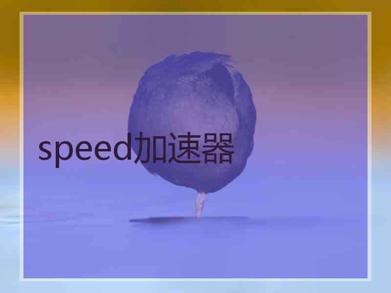 speed加速器