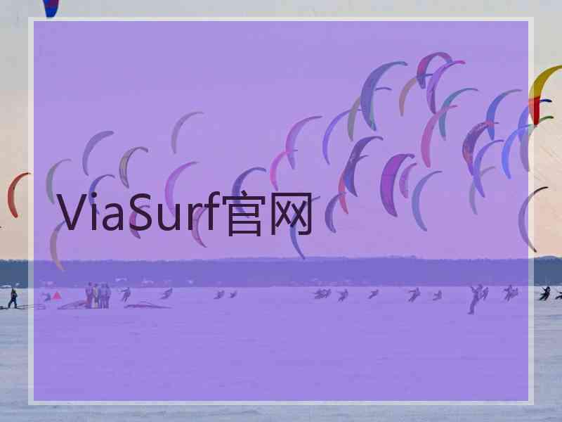 ViaSurf官网