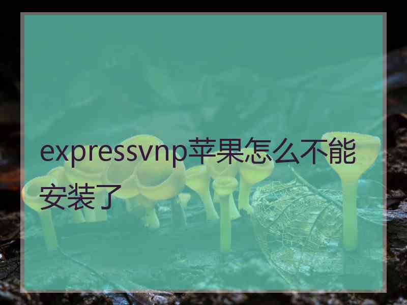 expressvnp苹果怎么不能安装了