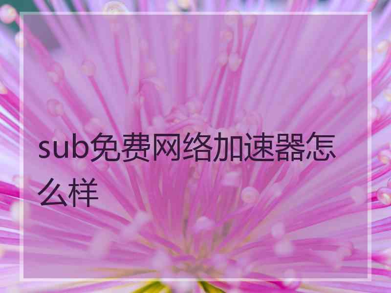 sub免费网络加速器怎么样