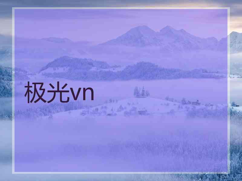 极光vn