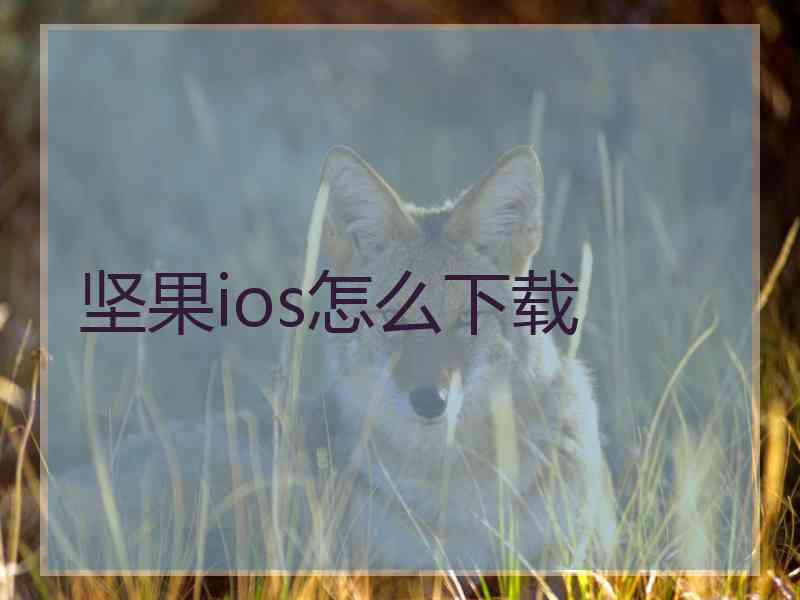 坚果ios怎么下载