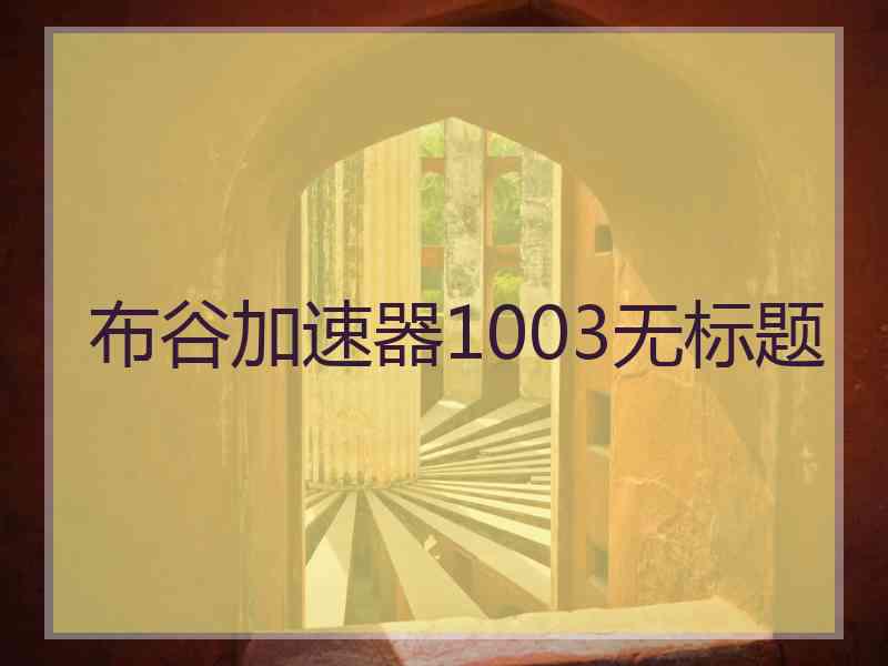 布谷加速器1003无标题