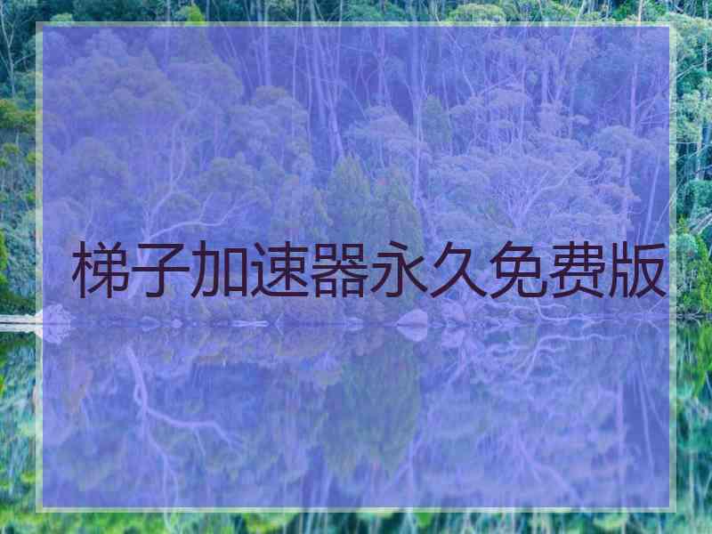 梯子加速器永久免费版