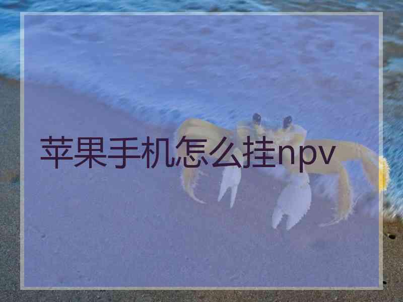 苹果手机怎么挂npv