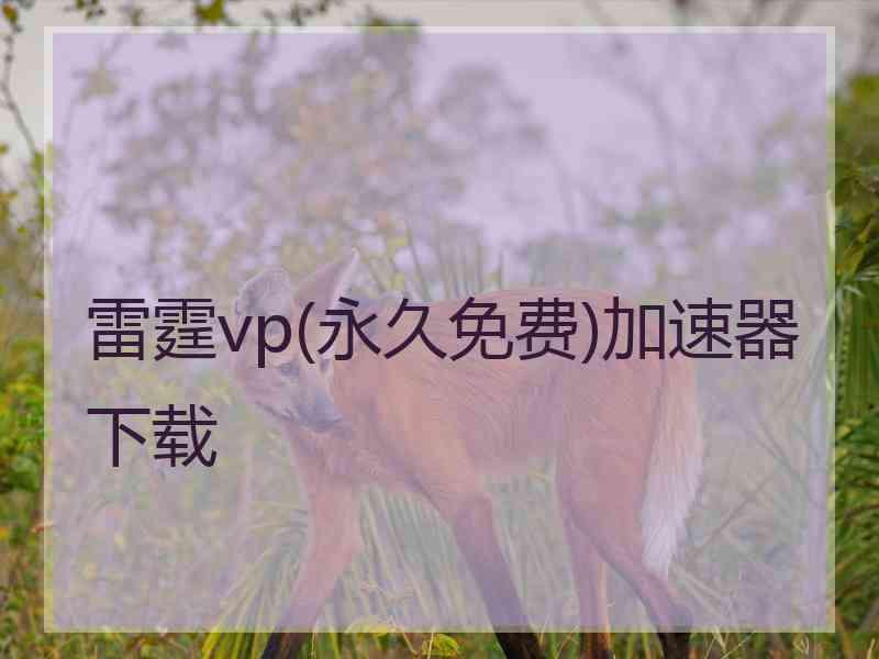 雷霆vp(永久免费)加速器下载