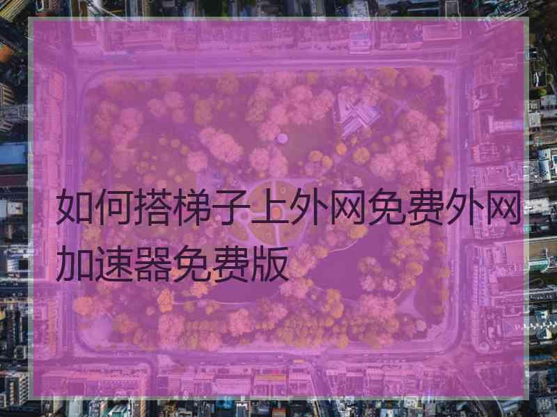 如何搭梯子上外网免费外网加速器免费版