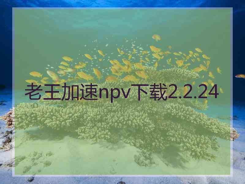 老王加速npv下载2.2.24