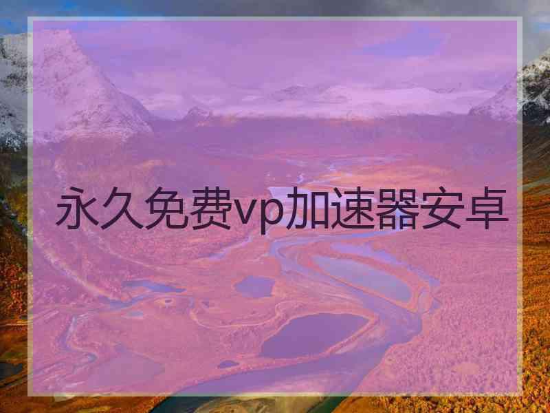 永久免费vp加速器安卓