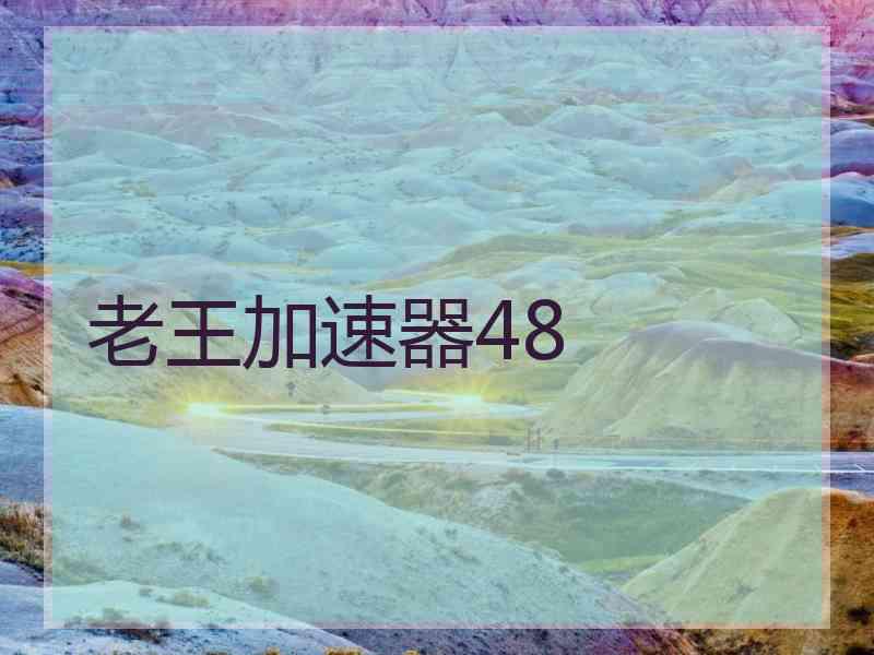 老王加速器48