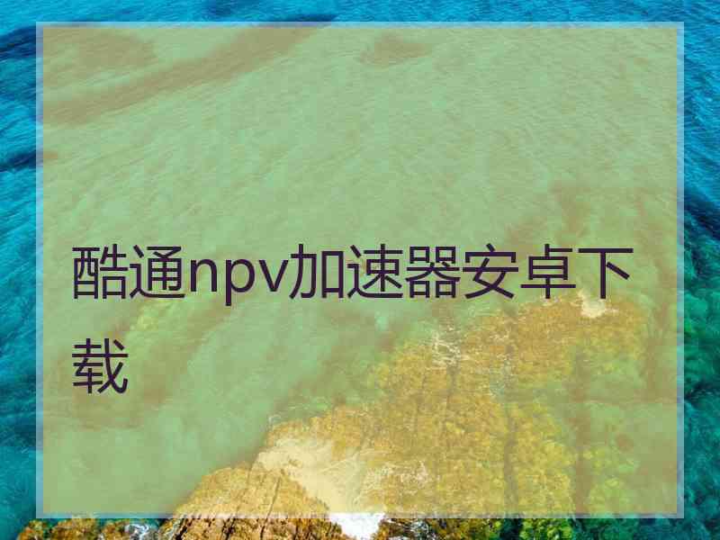 酷通npv加速器安卓下载