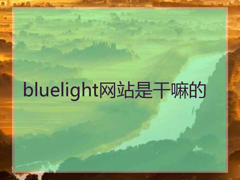 bluelight网站是干嘛的