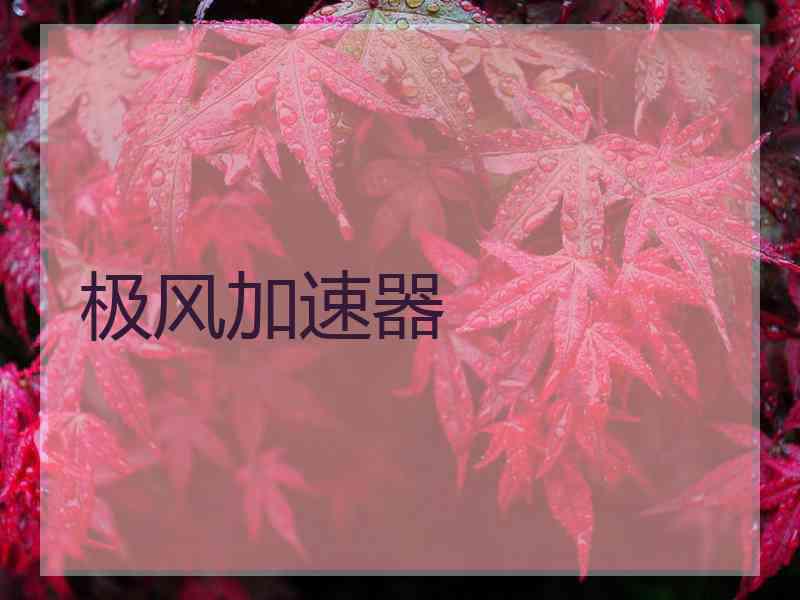 极风加速器