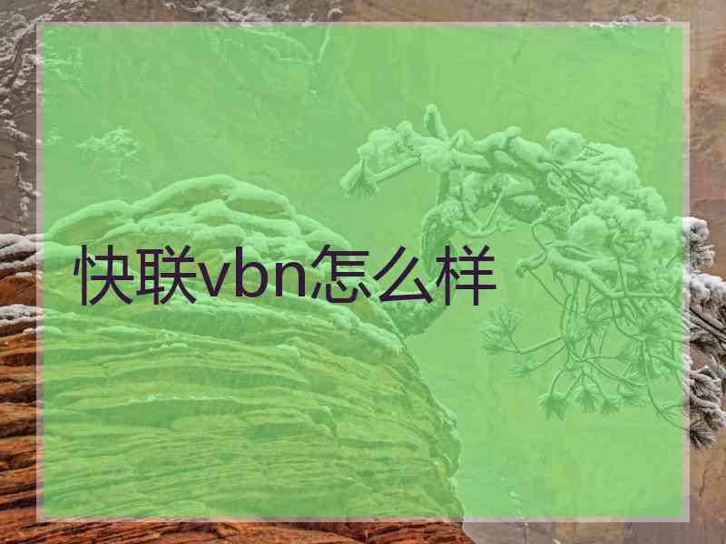 快联vbn怎么样