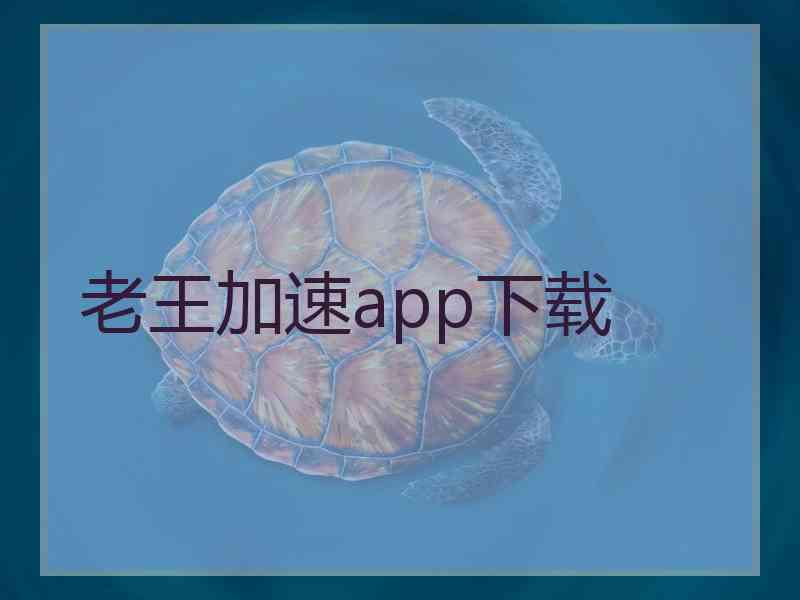 老王加速app下载