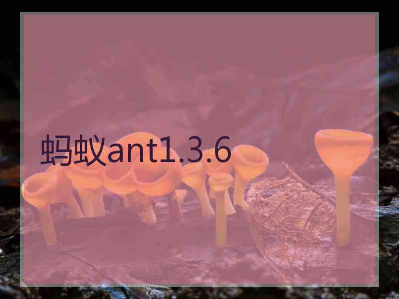 蚂蚁ant1.3.6