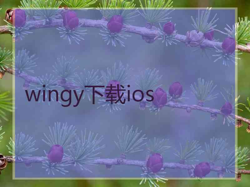 wingy下载ios