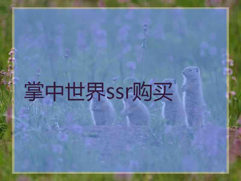 掌中世界ssr购买