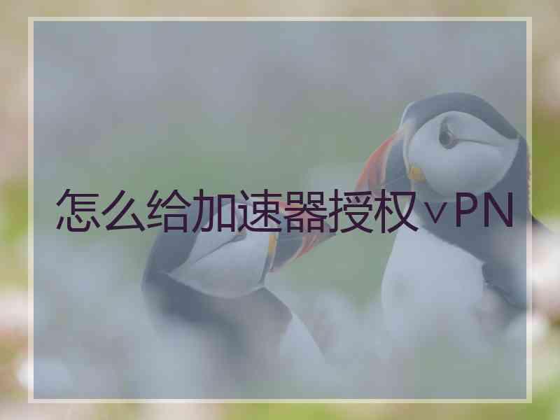 怎么给加速器授权∨PN