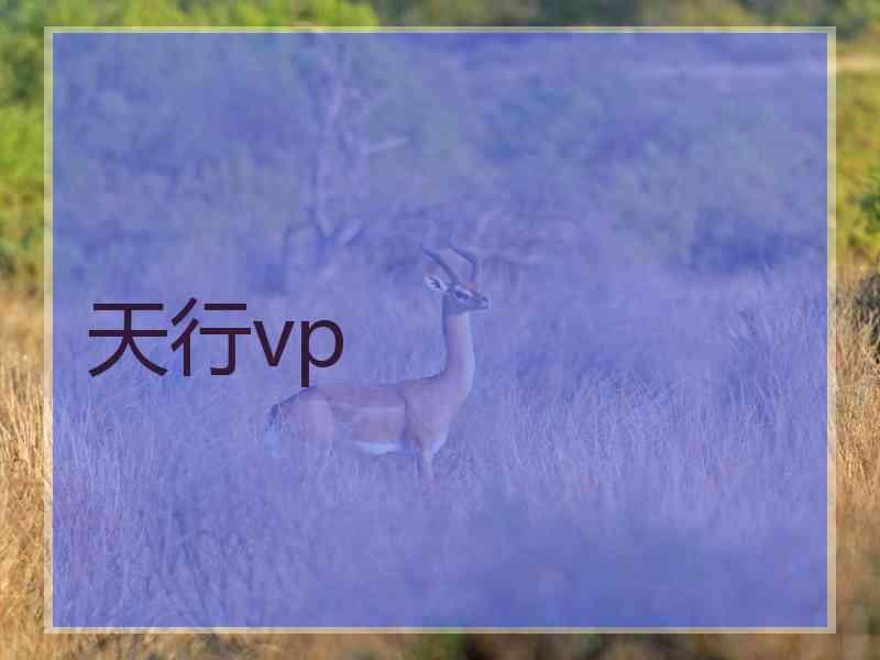 天行vp