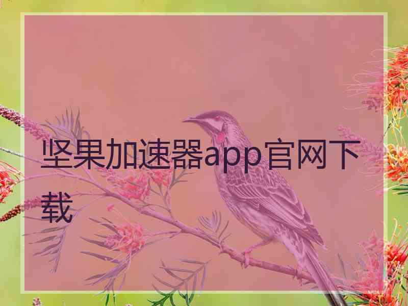 坚果加速器app官网下载