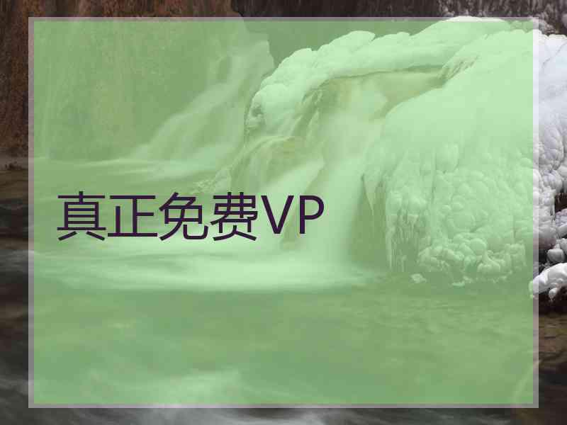 真正免费VP