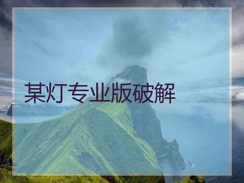 某灯专业版破解