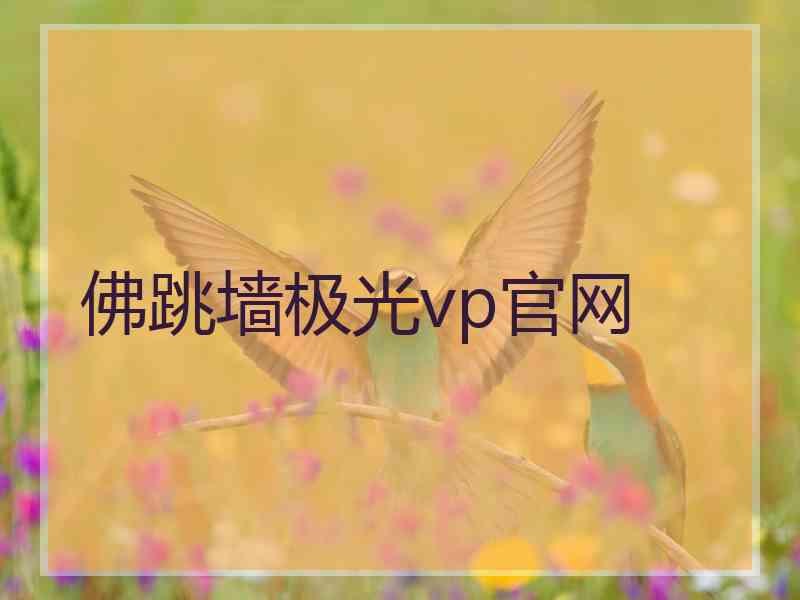 佛跳墙极光vp官网